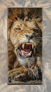 사자 바탕화면 스크린샷 4