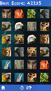DIY Memory Card screenshot 4