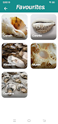 Shell identifier : snap shell screenshot 2