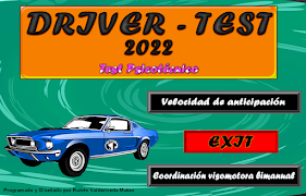 Driver-Test syot layar 7