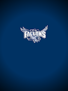 FCA Falcons скриншот 7