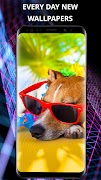 Funny wallpapers for phone اسکرین شاٹ 6