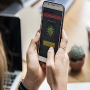 snake run lite io 3d syot layar 4