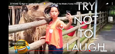 Funny Videos screenshot 7