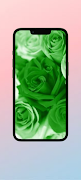 Green Rose WalL screenshot 1