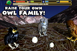 Owl Simulator imagem de tela 3