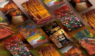 Autumn Wallpaper & Background Affiche