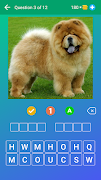 Dog Quiz: Guess the Breed Game poster