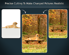 Change Photo Background screenshot 3