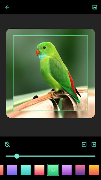 Square Photo Widget স্ক্রিনশট 6