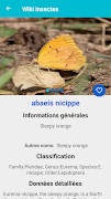 Insect Identification スクリーンショット 5