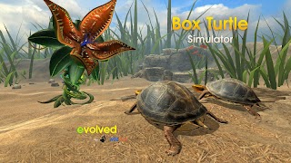 برنامه‌نما Box Turtle Simulator عکس از صفحه
