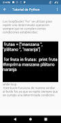 Python Español スクリーンショット 4