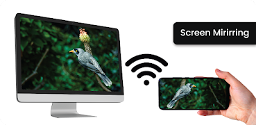 Screen Mirroring Monitor 포스터