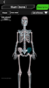 Osseous System in 3D (Anatomy) ภาพหน้าจอ 4