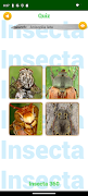 InsectSpider Quest 360 syot layar 2