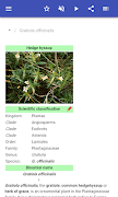 Medicinal herbs screenshot 1