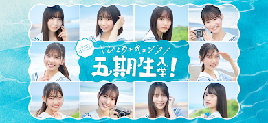 1 Schermata [日向坂46公式] ひなこい