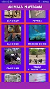 Animals in WebCam 스크린샷 6