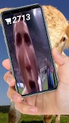 Ronaldo Suuu screenshot 7