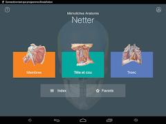 Mémofiches Anatomie Netter 截圖 5