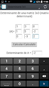 Determinante captura de pantalla 1