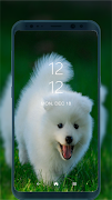 Cute pet wallpaper 포스터