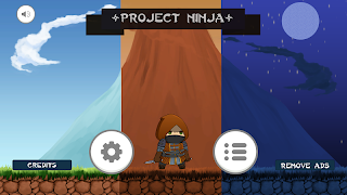 Project Ninja 海报