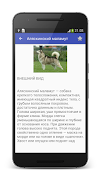 Породы собак с фото скриншот 3
