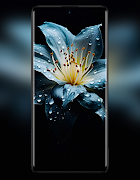Redmi Note 12 Pro 5G Wallpaper screenshot 5