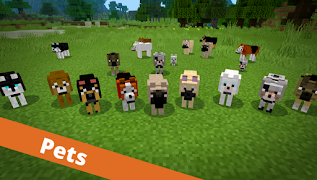Bedrock Addons ภาพหน้าจอ 1