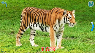 Animals for Kids screenshot 1