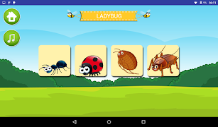 Learn About Insects اسکرین شاٹ 4