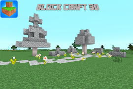 Block Craft 3D poster