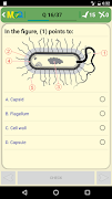 MCQ Basic Microbiology تصوير الشاشة 1