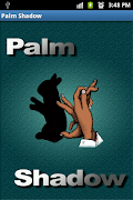 Palm Shadow poster