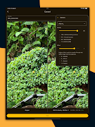 AmberToolbox capture d'écran 4