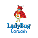 Ladybug Carwash APK