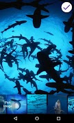 Sharks Lock Screen 截图 5