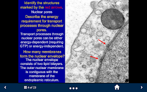 Basic Tissues syot layar 7