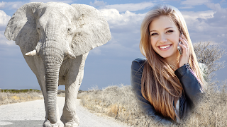 Animal Photo Frames اسکرین شاٹ 2