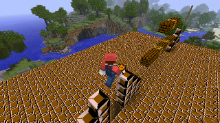 Mod Super Mario for Minecraft poster