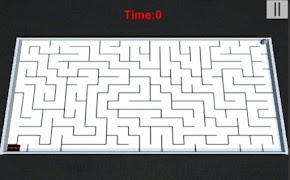 Maze Roller постер