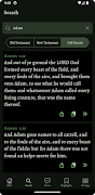 NT Critical Commentary screenshot 3