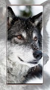 Wolf wallpapers اسکرین شاٹ 7