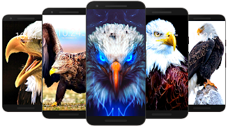 Wallpaper Elang HD syot layar 6