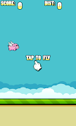 When Pigs Fly 海报
