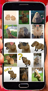 برنامه‌نما Capybara Stickers عکس از صفحه