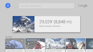 Google app for Android TV تصوير الشاشة 7