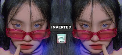 Inverted Filter (Trending Inverted Effect) screenshot 6
